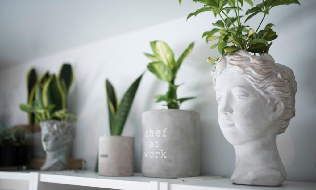 دکوراسیون خانه با گل طبیعی