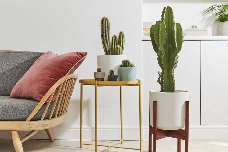 چیدمان گل طبیعی در پذیرایی